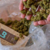 boveda 62 67 herbs in bag