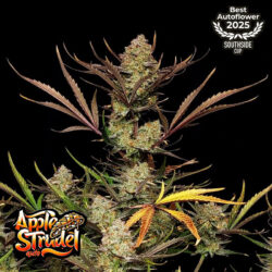 fastbuds apple strudel cannabis plant