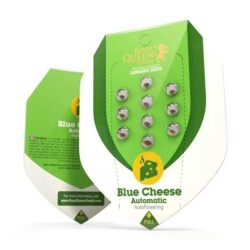 Official Royal Queen Seeds Blue Cheese Autoflowering seed packet showing the 3-seed count, Evertree EU.