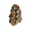 Detailed view of a resinous Dance World CBD Feminized dried bud, premium CBD-rich seeds at Evertree Europe.