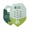 Official Royal Queen Seeds Northern Light Autoflowering seed packet showing the 3-seed count, Evertree EU.
