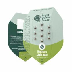 Official Royal Queen Seeds Northern Light Autoflowering seed packet showing the 3-seed count, Evertree EU.