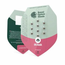 Official Royal Queen Seeds OG Kush Feminized seed packet showing the 3-seed count, Evertree EU.