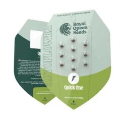 Official Royal Queen Seeds Quick One Autoflowering seed packet showing the 3-seed count, Evertree EU.