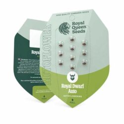 Official Royal Queen Seeds Royal Dwarf Autoflowering seed packet showing the 3-seed count, Evertree EU.