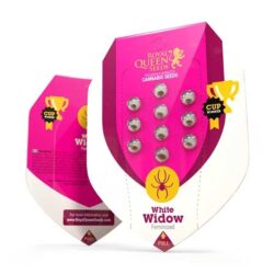 Official Royal Queen Seeds White Widow Feminized seed packet showing the 3-seed count, Evertree EU.